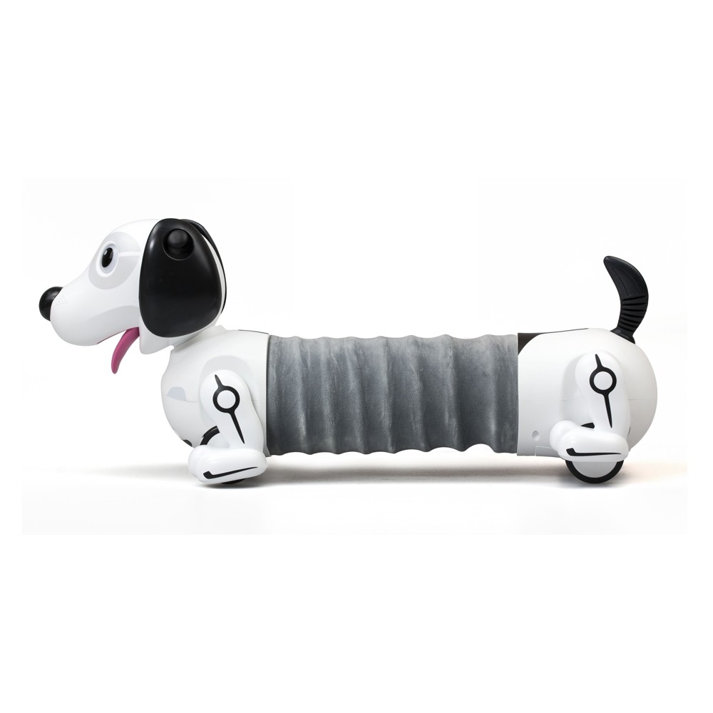 20731799-zigito-cane-robot_4